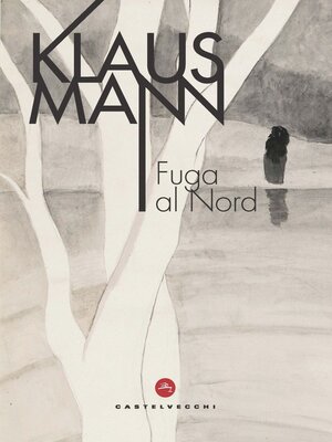 cover image of FUGA AL NORD